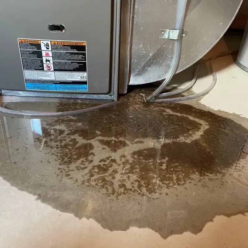 Appliance Leak Cleanup in Vancouver, WA